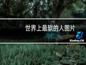 世界上最软的人图片