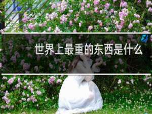 世界上最重的东西是什么