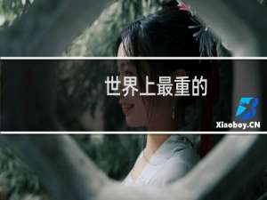 世界上最重的
