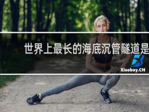 世界上最长的海底沉管隧道是