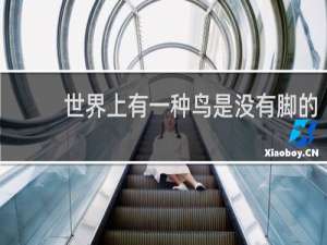 世界上有一种鸟是没有脚的
