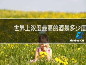 世界上浓度最高的酒是多少度