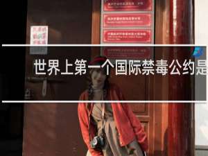 世界上第一个国际禁毒公约是