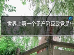 世界上第一个无产阶级政党是什么
