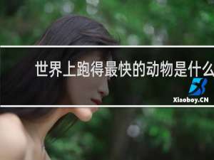 世界上跑得最快的动物是什么
