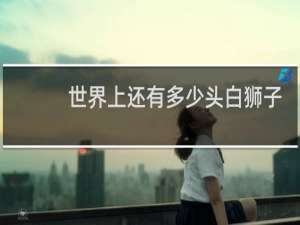 世界上还有多少头白狮子
