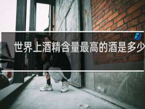 世界上酒精含量最高的酒是多少度