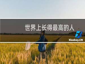 世界上长得最高的人