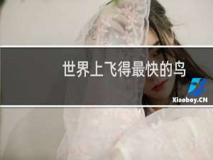 世界上飞得最快的鸟
