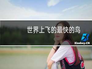 世界上飞的最快的鸟