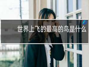 世界上飞的最高的鸟是什么