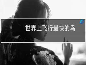 世界上飞行最快的鸟