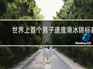 世界上首个男子速度滑冰锦标赛