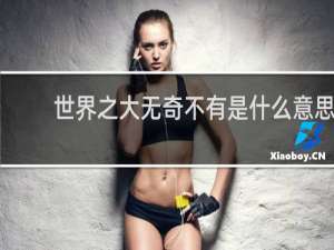 世界之大无奇不有是什么意思