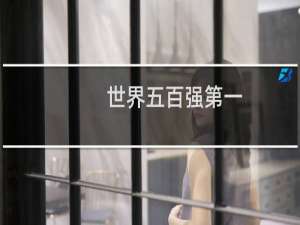 世界五百强第一