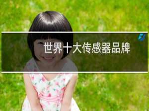 世界十大传感器品牌