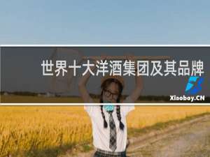 世界十大洋酒集团及其品牌