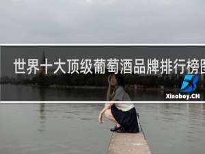 世界十大顶级葡萄酒品牌排行榜图片