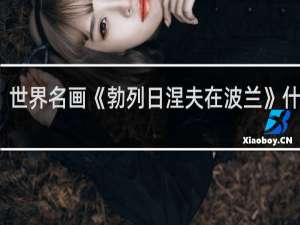 世界名画《勃列日涅夫在波兰》什么梗