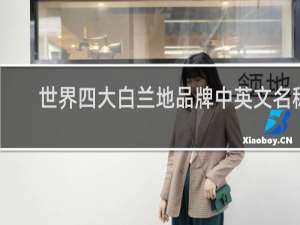 世界四大白兰地品牌中英文名称