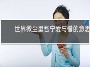 世界微尘里吾宁爱与憎的意思