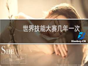 世界技能大赛几年一次