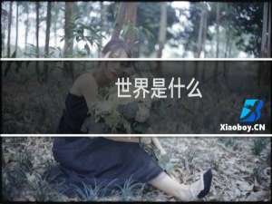 世界是什么