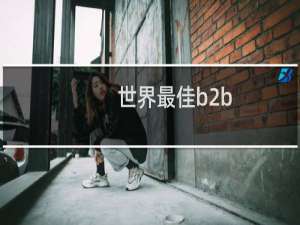 世界最佳b2b