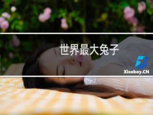世界最大兔子