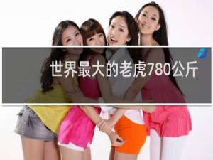 世界最大的老虎780公斤