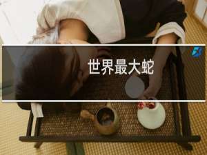 世界最大蛇