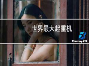 世界最大起重机