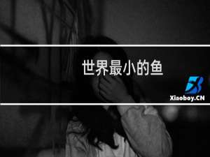 世界最小的鱼