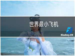 世界最小飞机