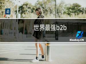 世界最强b2b