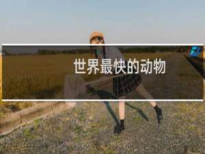 世界最快的动物