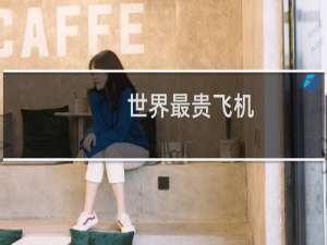 世界最贵飞机