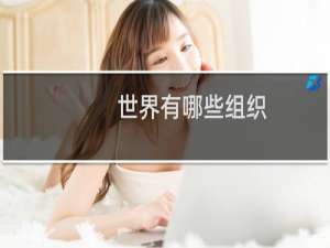 世界有哪些组织