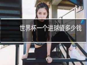 世界杯一个进球值多少钱