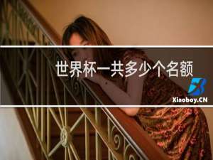 世界杯一共多少个名额