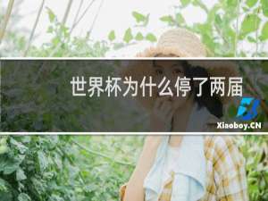 世界杯为什么停了两届