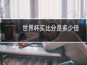 世界杯买比分是多少倍