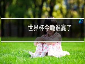 世界杯今晚谁赢了