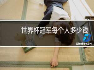 世界杯冠军每个人多少钱奖励