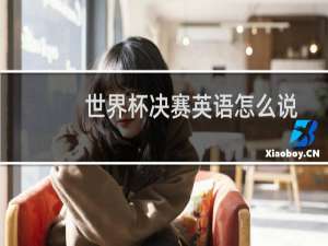 世界杯决赛英语怎么说