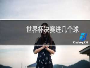 世界杯决赛进几个球