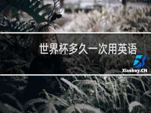 世界杯多久一次用英语