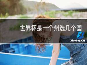 世界杯是一个州选几个国家