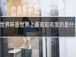 世界杯是世界上最高知名度的是什么比赛