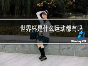 世界杯是什么运动都有吗